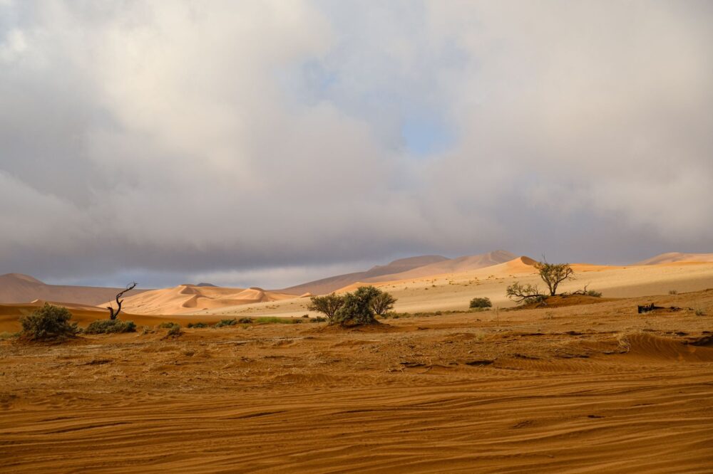 Namibia