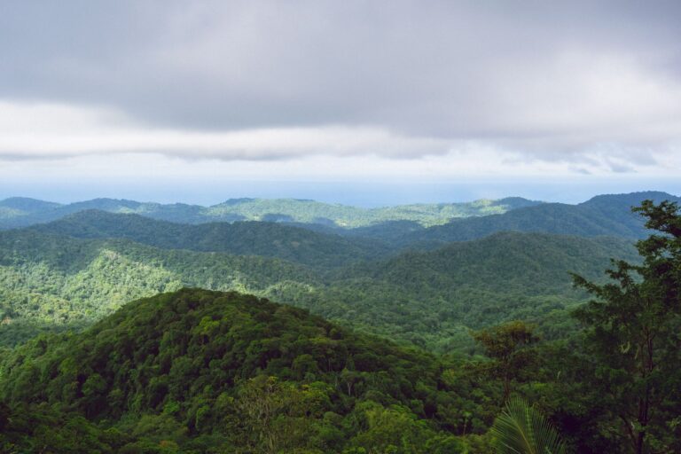 Trinidad y Tobago