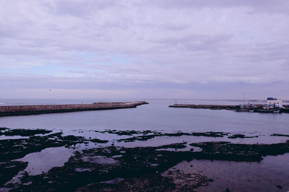 El Jadida, Marruecos: la costa atlántica donde la vida salvaje aprende a convivir con la ciudad
