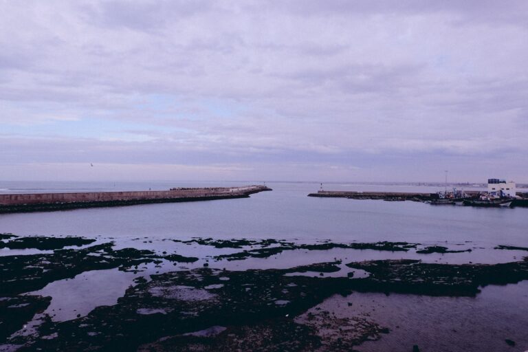 El Jadida, Morocco: The Atlantic Shore Where Wildlife Learns to Live With the City