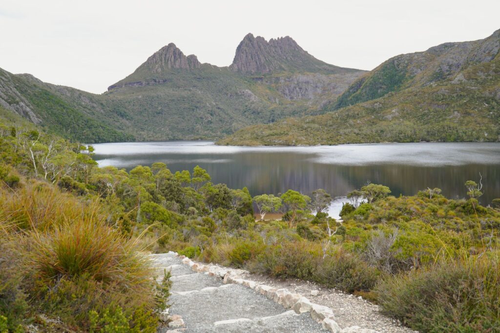 Tasmania sin coche: cómo la isla australiana teje una red de autobuses, ferris y senderos para explorar sus parques