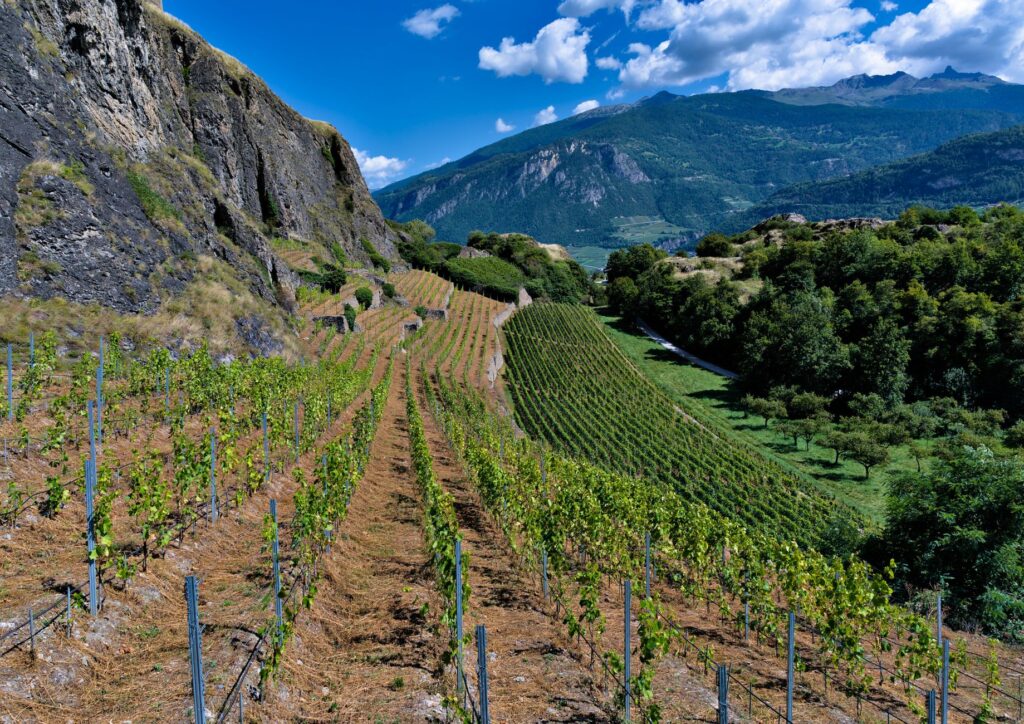 Sion, Suiza: la estación que conecta el Valais con el resto del país
