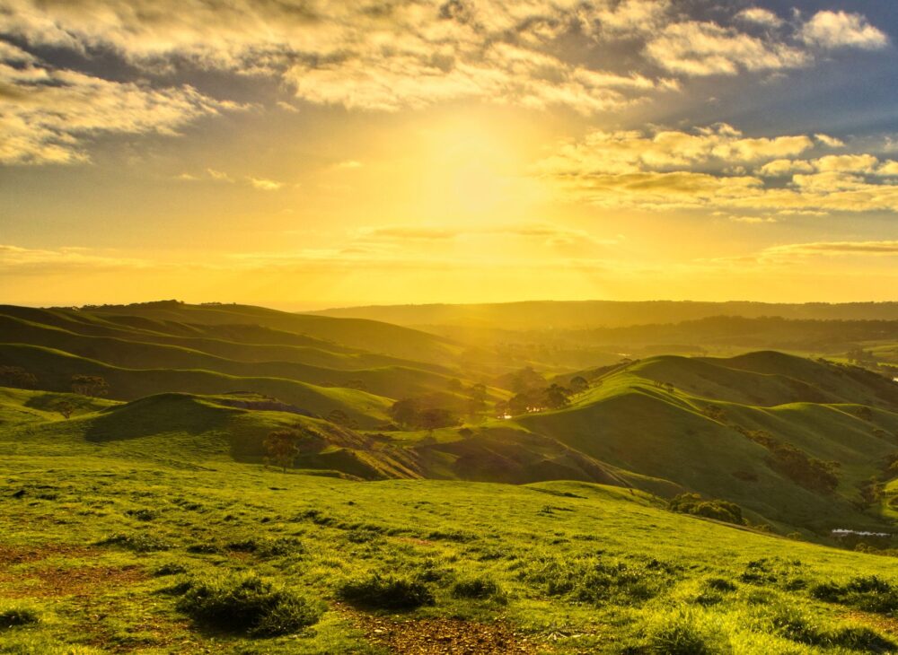 Adelaide Hills, Australia: cómo se visita una región que vive de sus huertos y su memoria