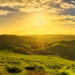 Adelaide Hills, Australia: cómo se visita una región que vive de sus huertos y su memoria