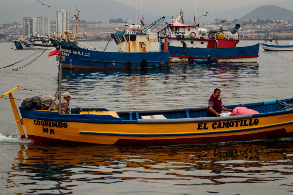 Coquimbo, Chile: la mesa que se cocina entre el puerto y el cerro