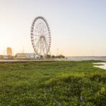 Barranquilla, Colombia: la ciudad que se descubre entre cumbias, ríos y esquinas