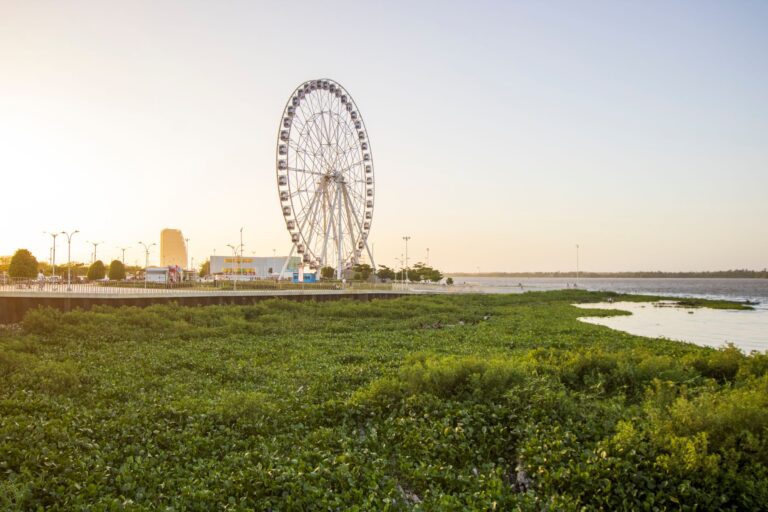 Barranquilla, Colombia: A City Discovered Through Cumbia, River and Street Corners