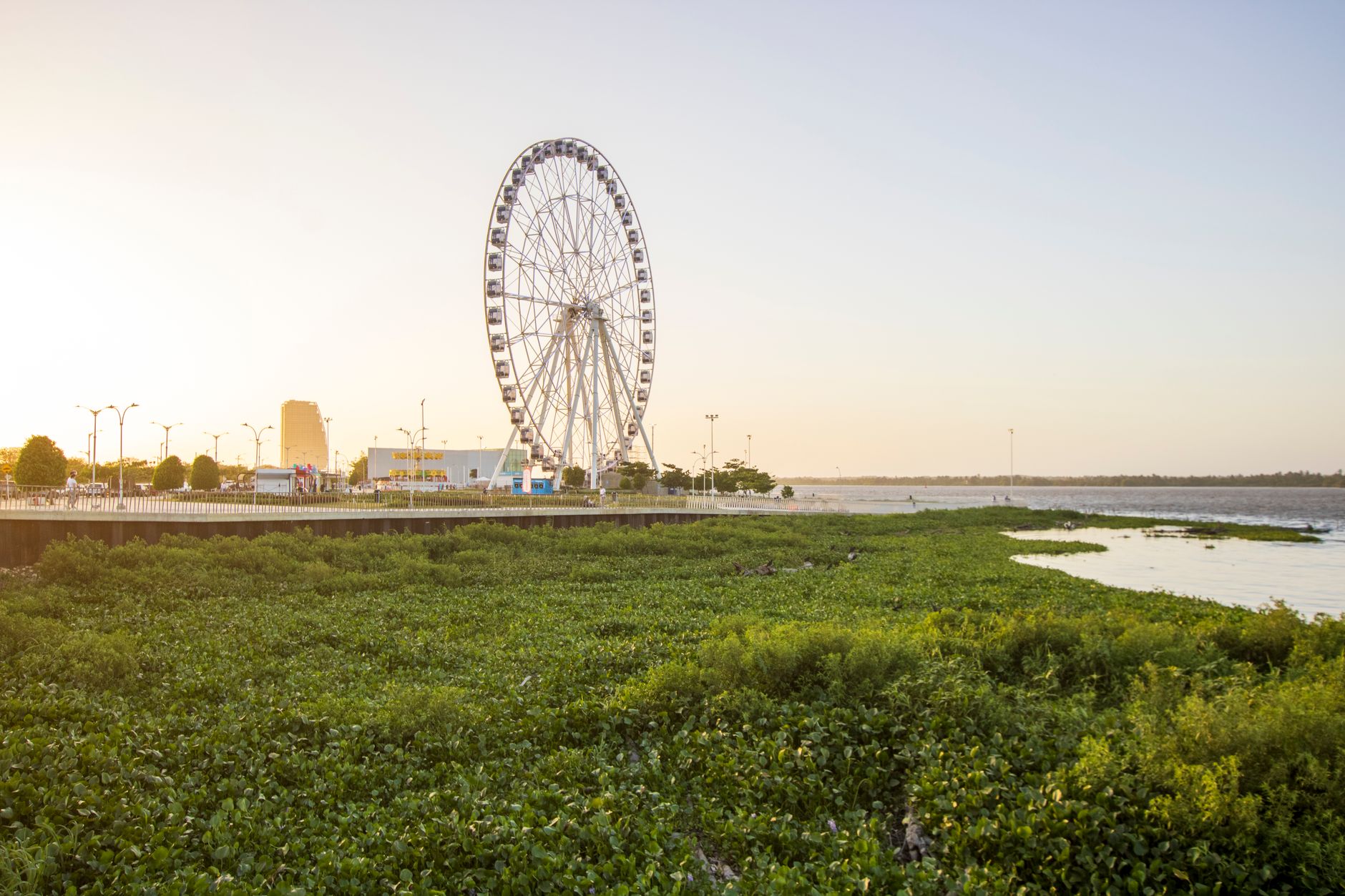 Barranquilla, Colombia: la ciudad que se descubre entre cumbias, ríos y esquinas