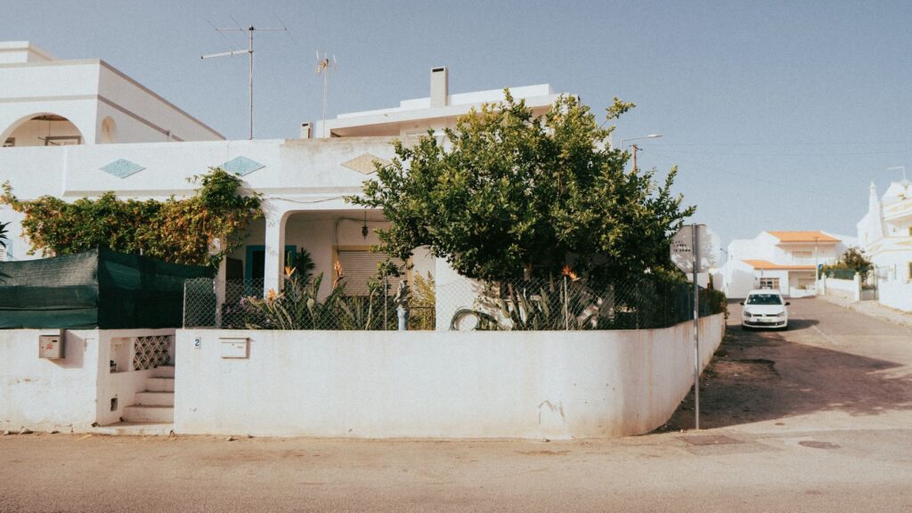 Olival, en Portugal: la despensa de un barrio que creció entre Lisboa y la sierra