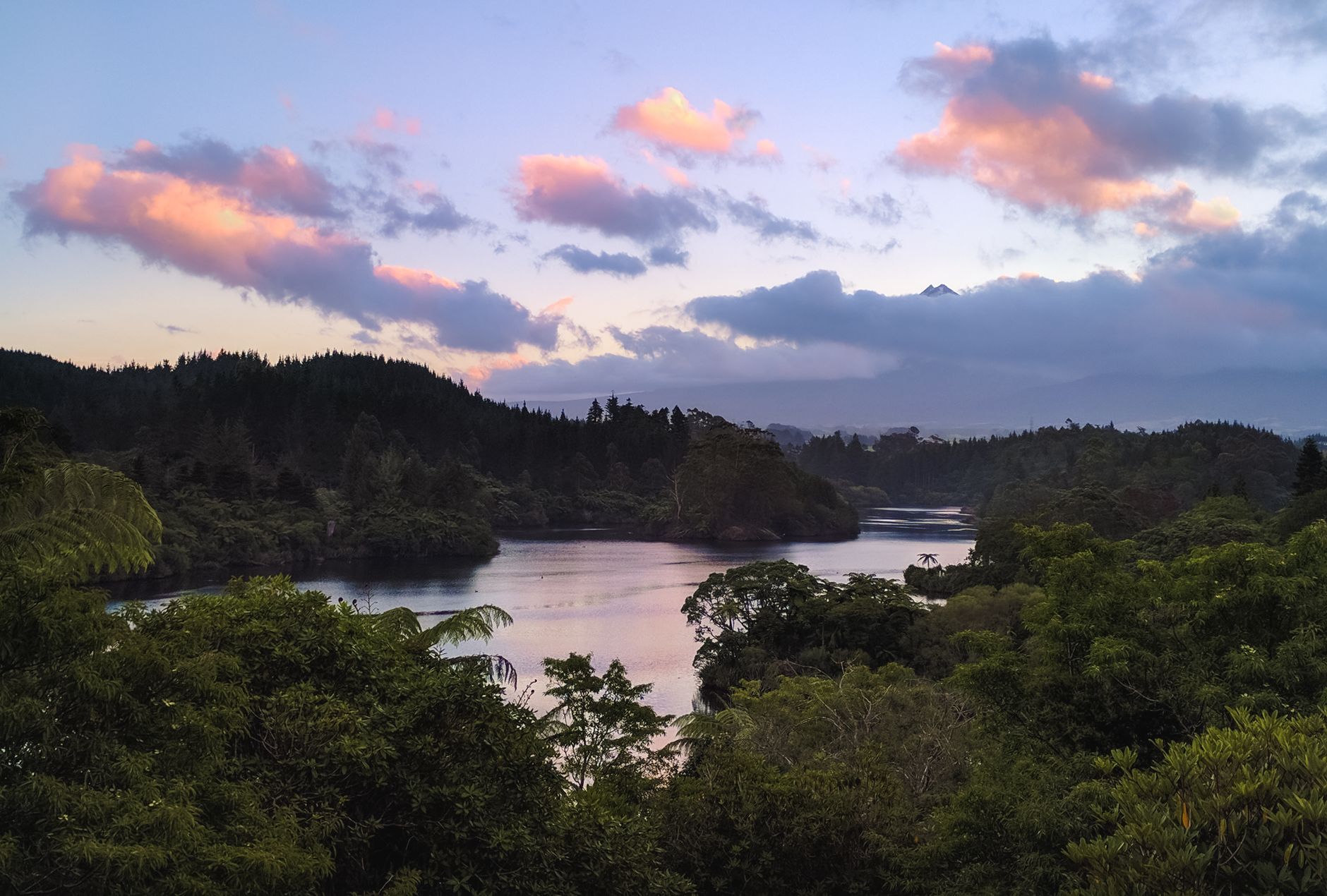 Whanganui, Nueva Zelanda: las huellas culturales talladas en la madera y el río