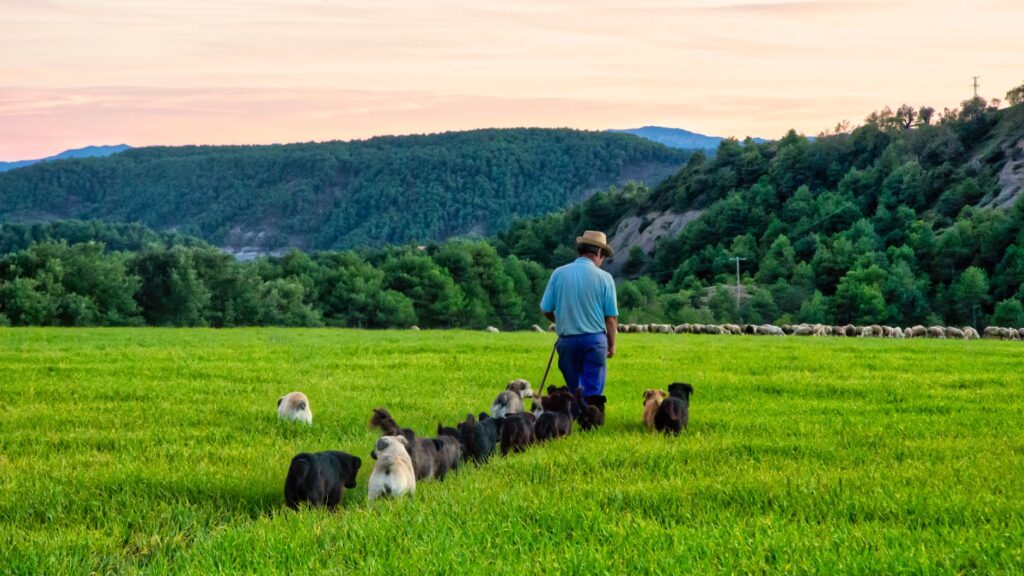 Irati, Navarra: el bosque que se recorre con permiso y conciencia