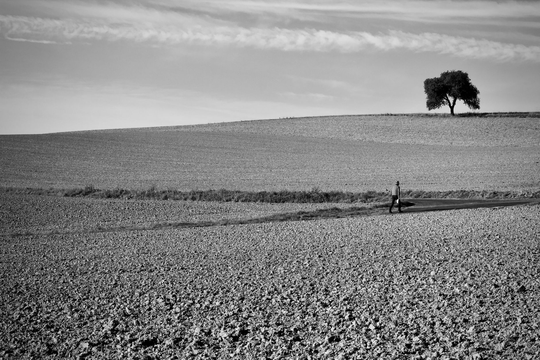 El pulso de la lentitud: sobre el peso de los pasos y la mirada paciente