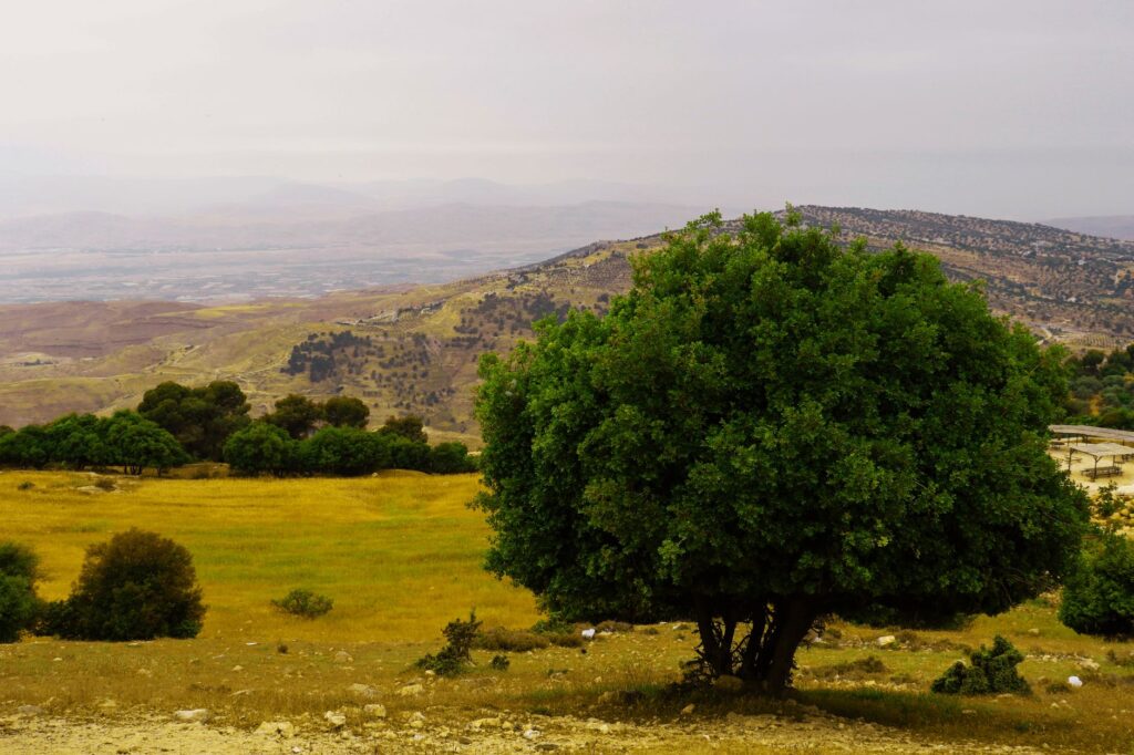 Al Jubayhah, Jordania: la colina de Amán donde la vida cotidiana se hereda