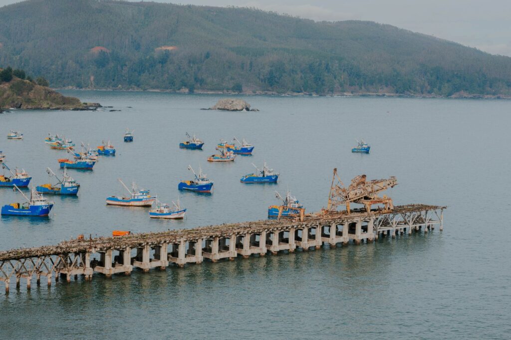 Chiloé, Chile: carpinteros de ribera que mantienen en pie un archipiélago de madera