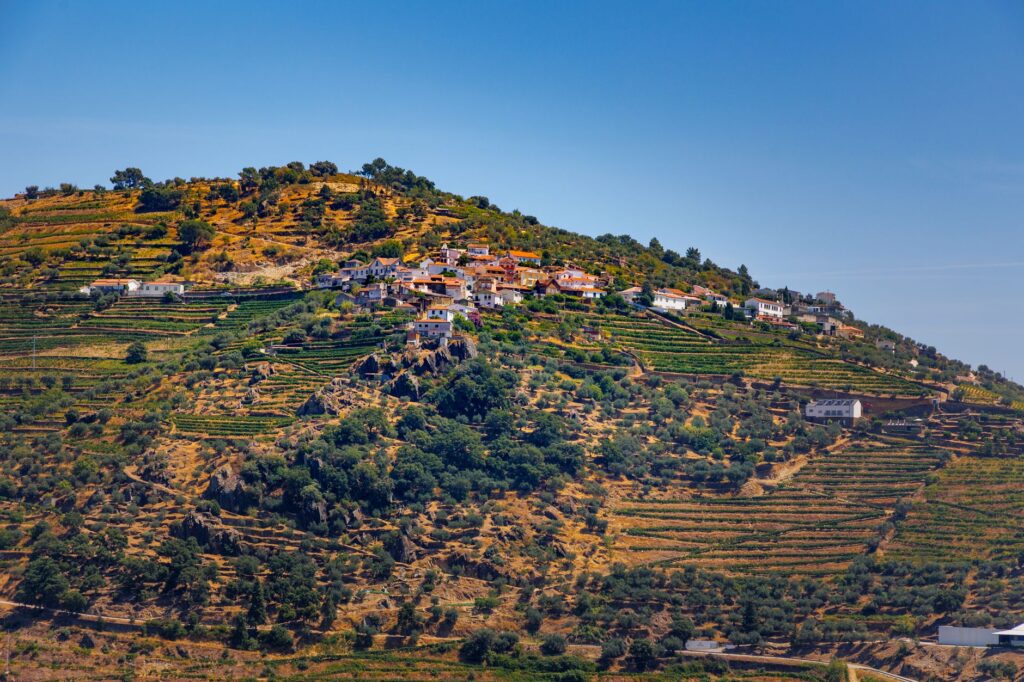 Alto Douro: el paisaje que el vino esculpió durante dos mil años