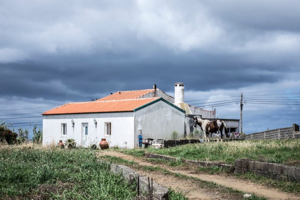 Alto Douro, Portugal: el paisaje que se recorre entre terrazas de esquisto y río