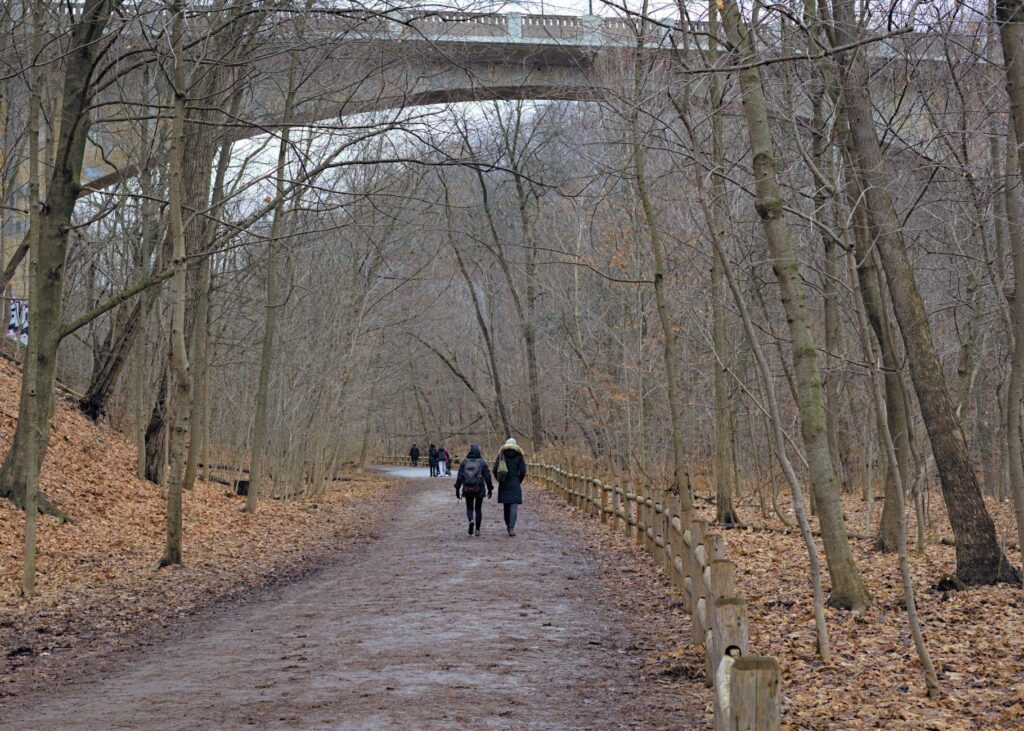 Oshawa, Canadá: expedición, clima y patrimonio industrial en la ribera del lago Ontario