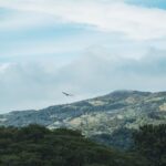 Guanacaste, Costa Rica: el bosque seco que enseña a vivir con la estación seca
