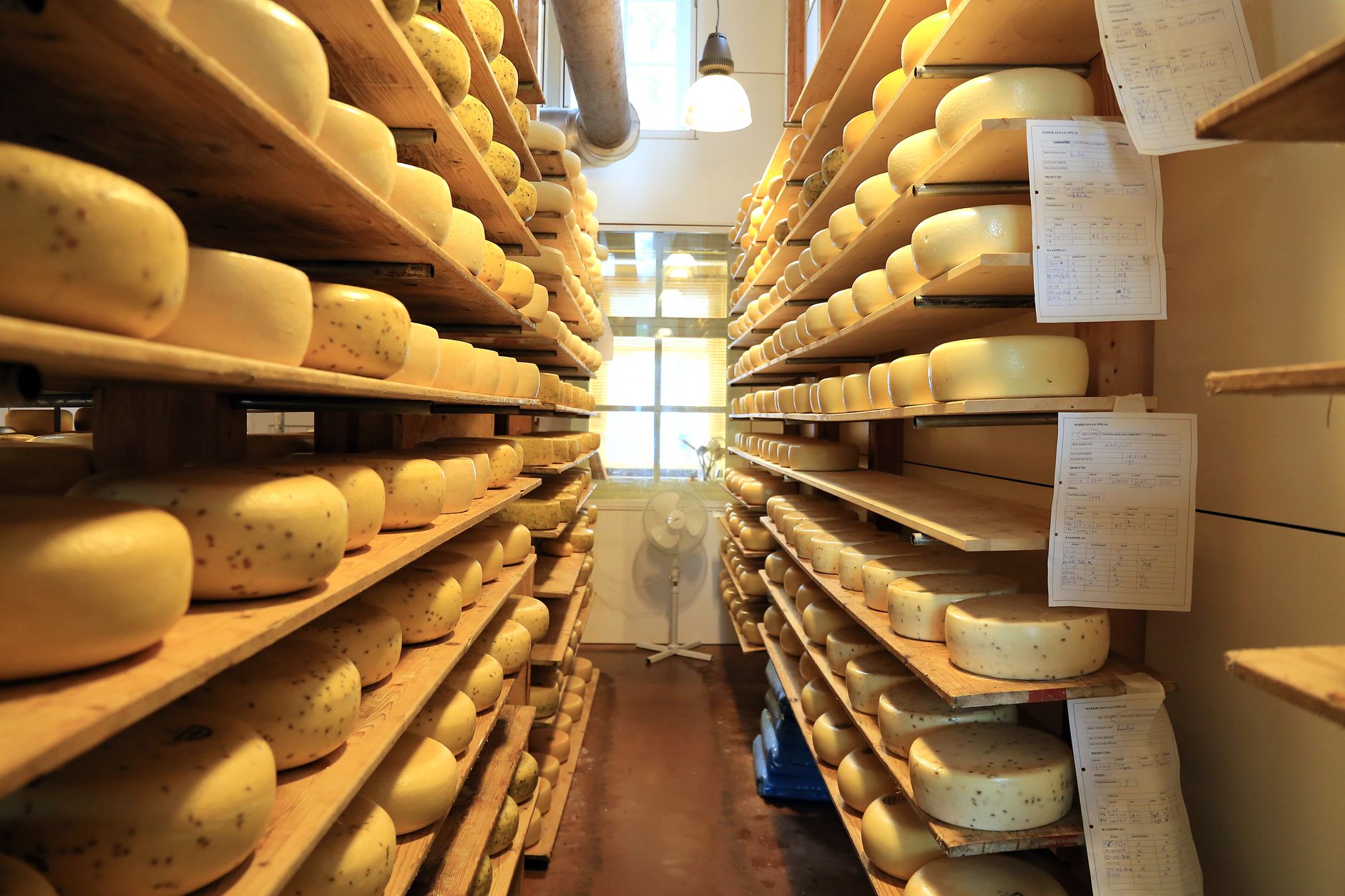 La despensa que se lee a ciegas: el queso de oveja de Idaho que se vende sin etiqueta