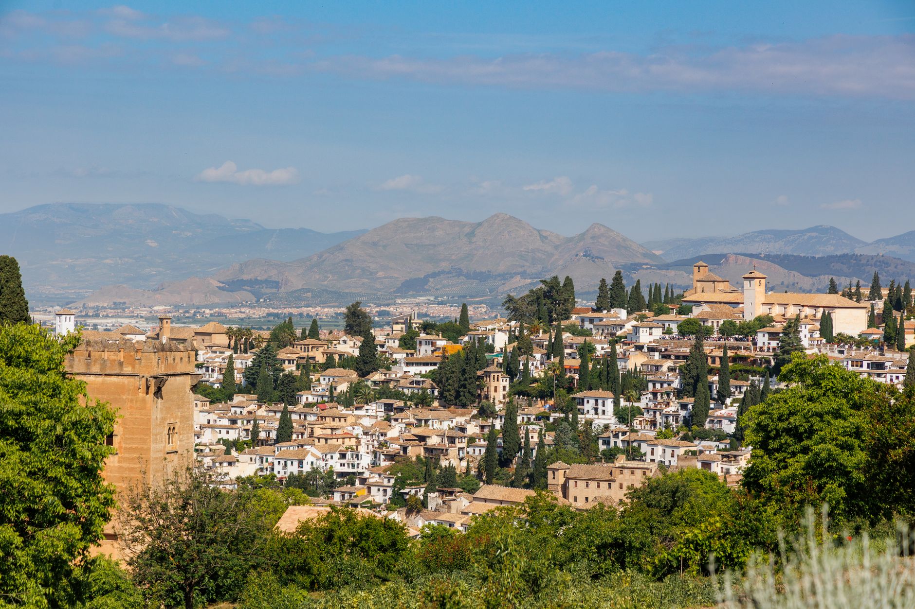 Granada, despensa de Sierra Nevada: la cocina que baja de la montaña al plato