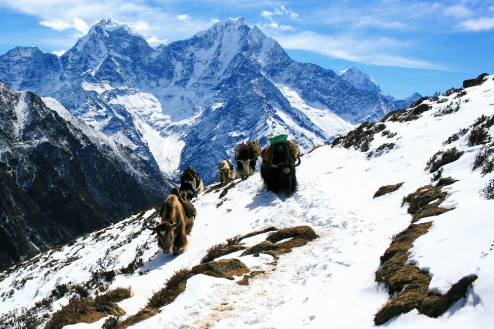 Sagarmatha, Nepal: los guardianes del parque nacional donde el Everest define la vida cotidiana