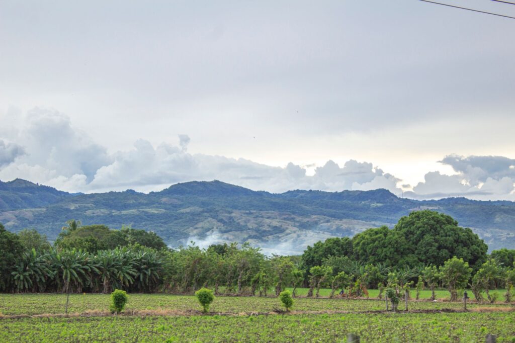 Ibagué, Colombia: la ciudad que se lee en sus ritmos y talleres