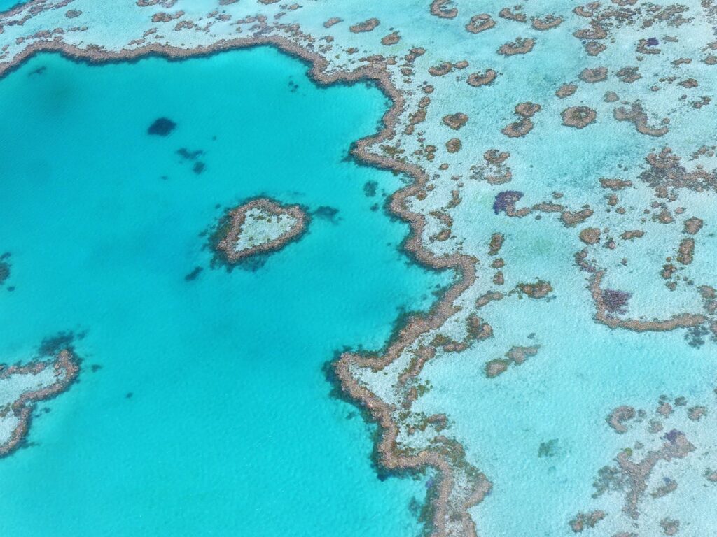 Gran Barrera de Coral: viaje al ecosistema marino más grande del planeta