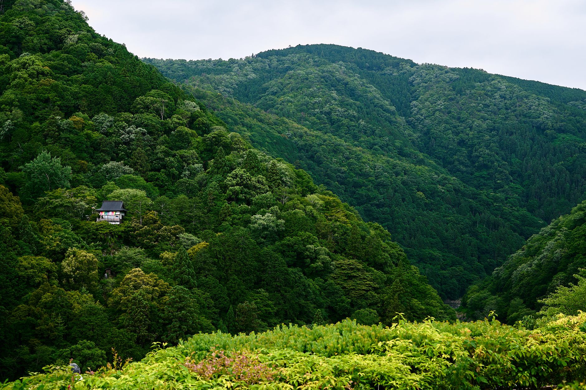 Senderismo en Kioto, Japón: cómo preparar una ruta realista entre templos y montañas