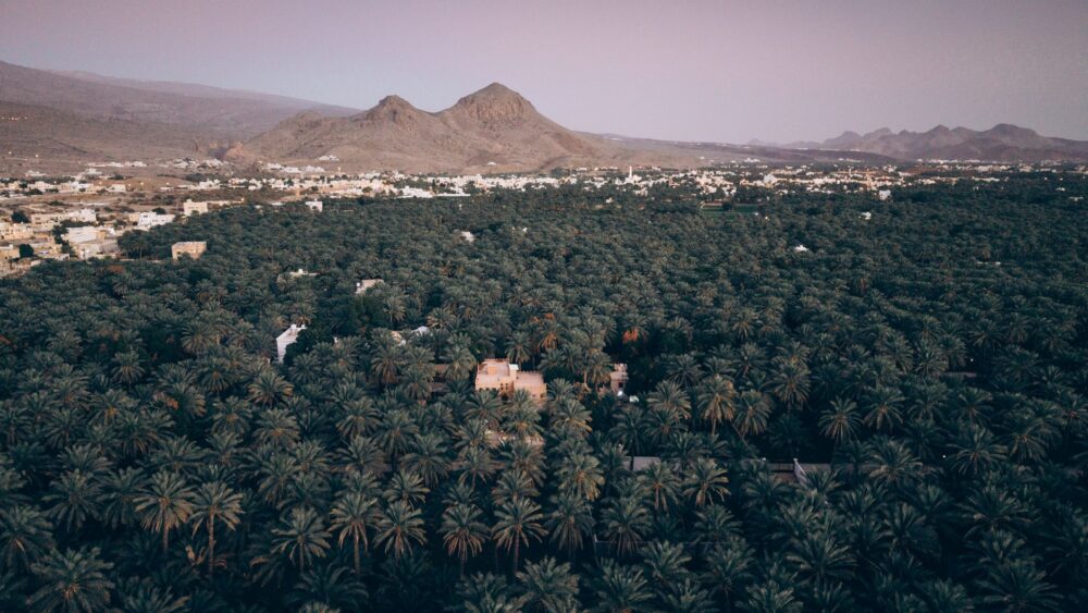 Izkī, Omán: cómo se organiza la vida en un oasis del interior sin tren