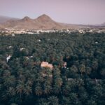 Izkī, Omán: cómo se organiza la vida en un oasis del interior sin tren