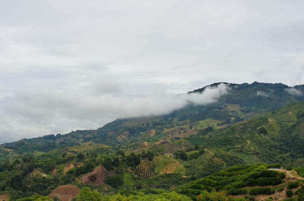 Floridablanca y la cordillera oriental de Colombia: geología, cumbres andinas y conservación de la montaña