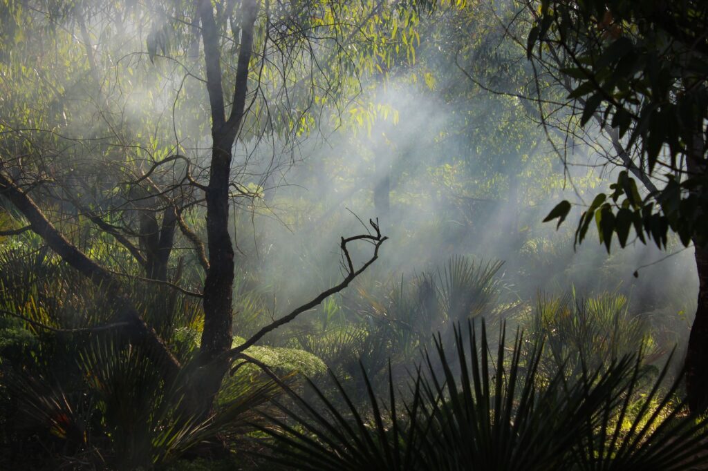 Bouskoura, Marruecos: la identidad verde que reverdece entre bosques de eucaliptos