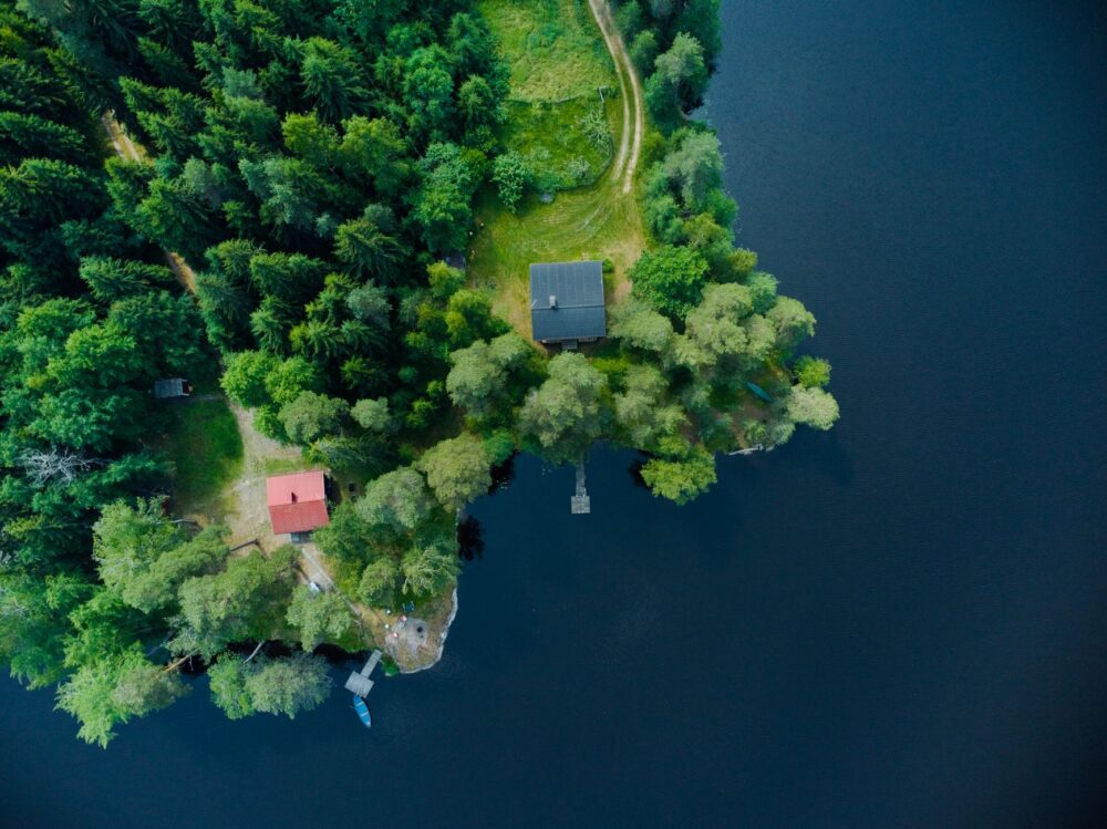East Helsinki, Finlandia: los bosques costeros y la fauna que resiste junto al Báltico