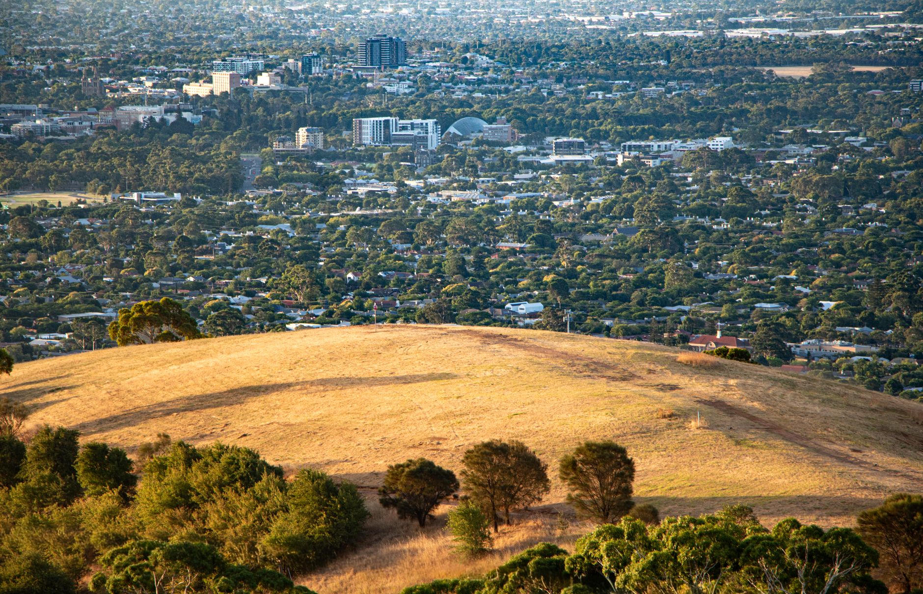 Adelaida, Australia: una ciudad que se lee en sus parques y en su memoria