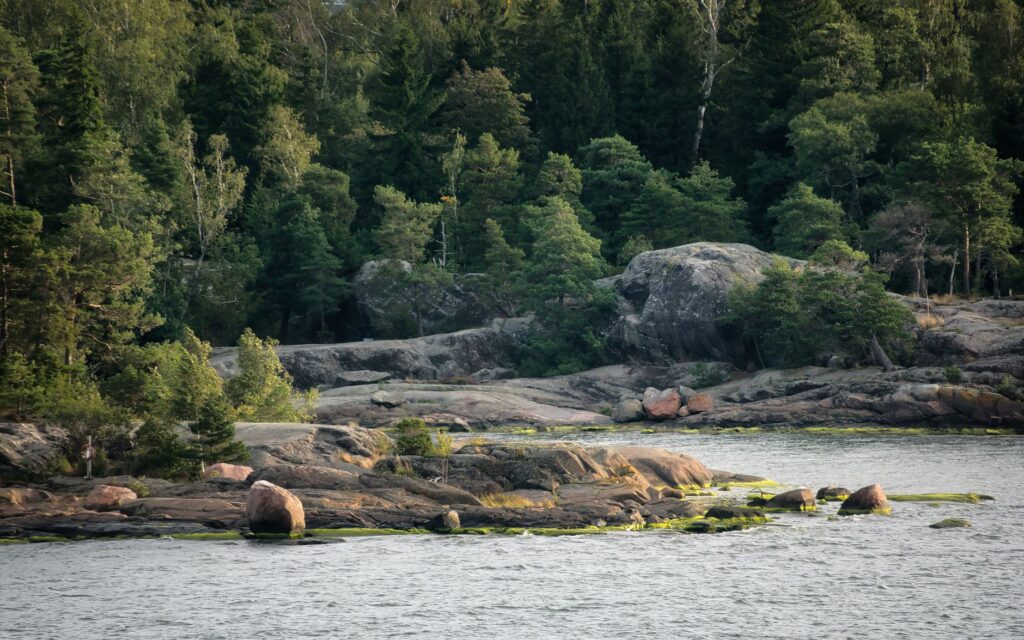East Helsinki, Finlandia: los bosques costeros y la fauna que resiste junto al Báltico