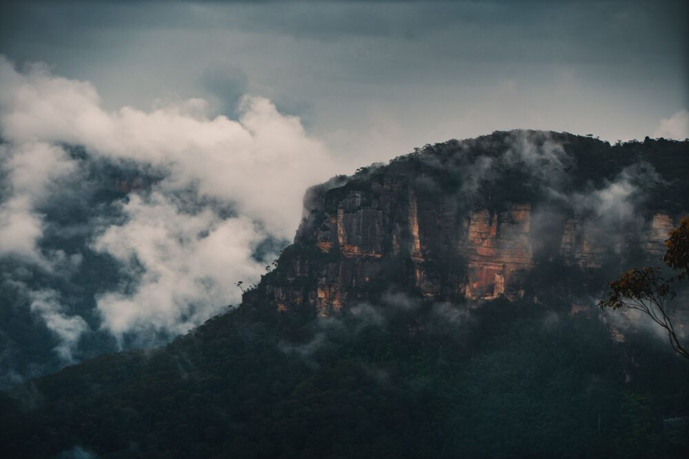 Blue Mountains, despensa de altura: cocinar con lo que da la niebla