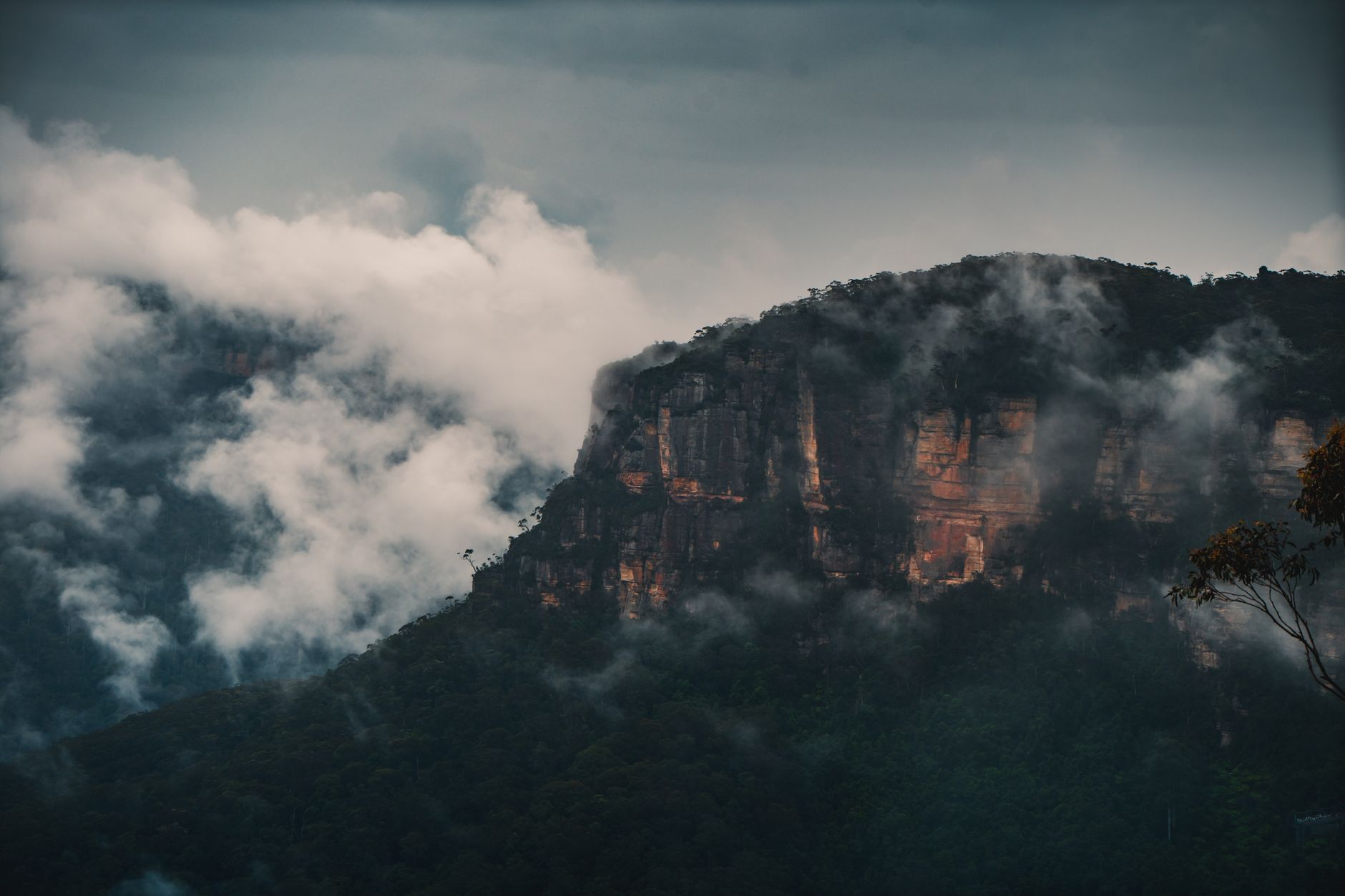 Blue Mountains, despensa de altura: cocinar con lo que da la niebla