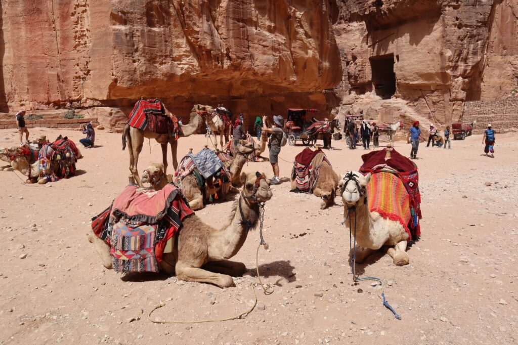 Petra, Jordania: la ciudad tallada en roca que late bajo el desierto