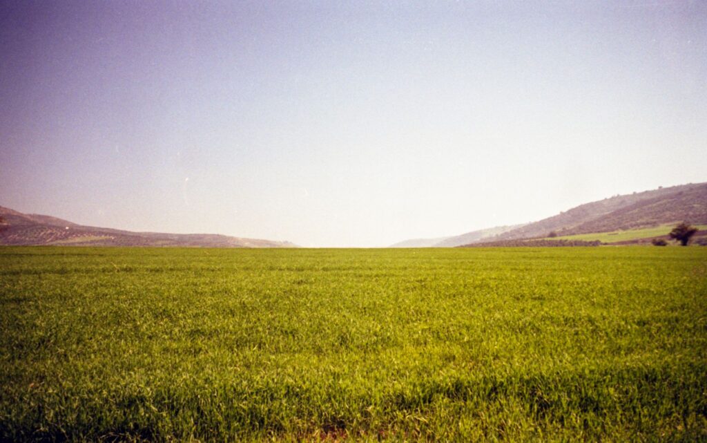 Az̧ Z̧ulayl, Jordania: el agua que sostiene la estepa y el arte de visitarla sin dañarla