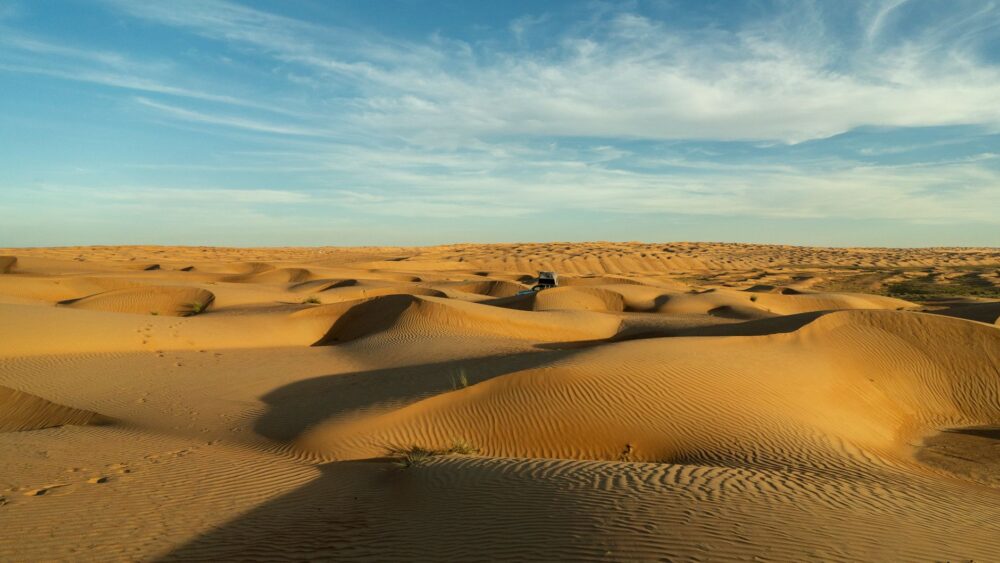 Liwá y el pulso acuático de Omán: entre oasis milenarios y el equilibrio del desierto