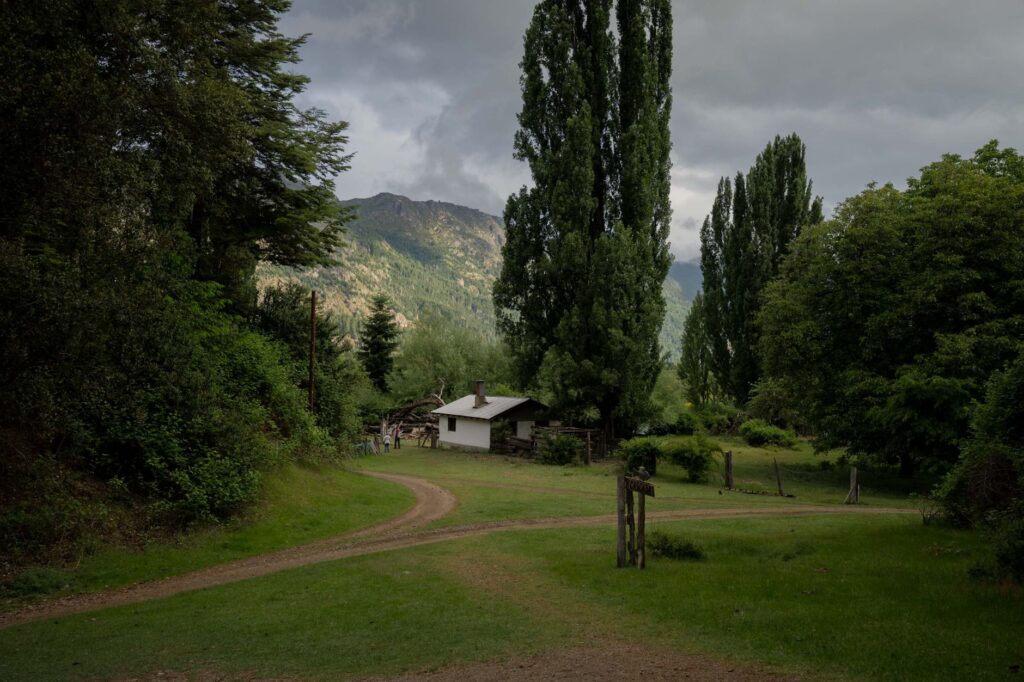 Neuquén, Argentina: la estepa patagónica donde el ciervo colorado y el cóndor comparten horizonte