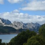 Oso pardo en la cordillera Cantábrica: los bosques que enseñan a convivir