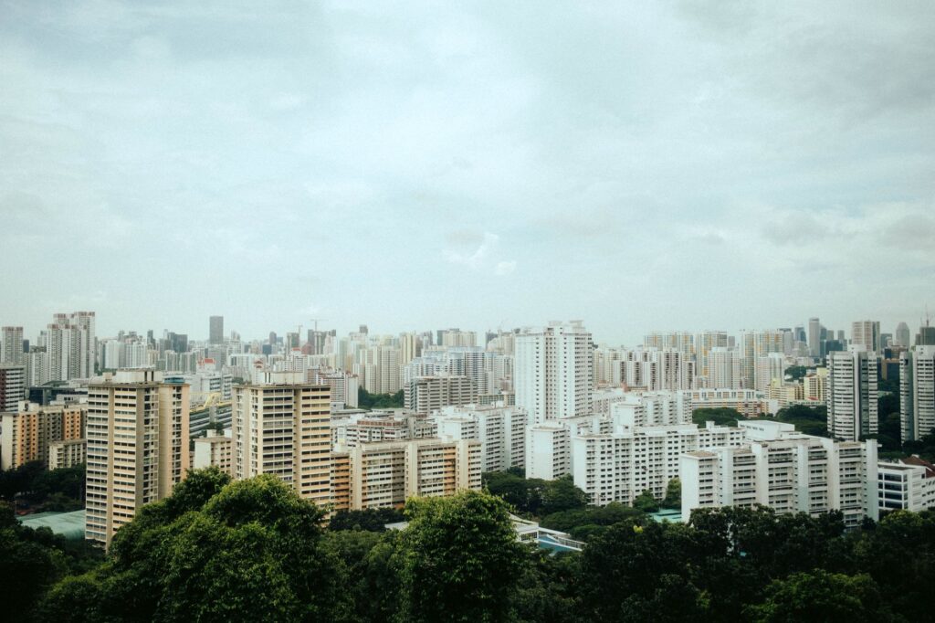 Bukit Timah, Singapur: la colina donde la ciudad aprendió a convivir con la selva