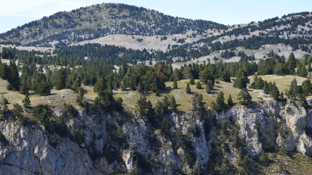 San Juan de la Peña: el monasterio que se esconde bajo la roca