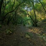 La huella que no se ve: viajar como cuidado del mundo