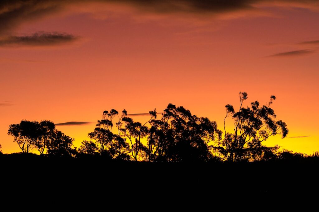 Adelaida, Australia: una ciudad que se lee en sus parques y en su memoria