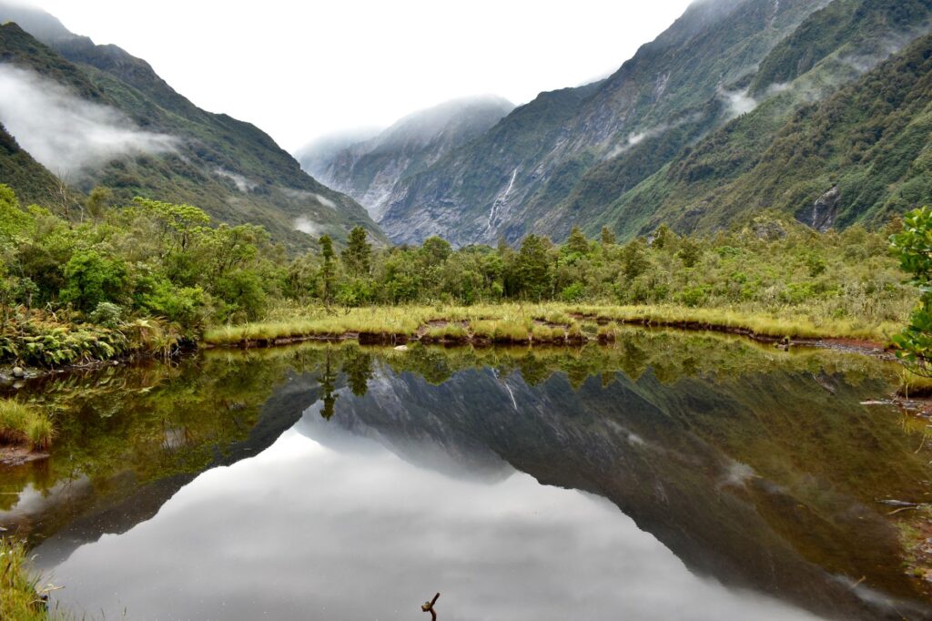 Te Wahipounamu, Nueva Zelanda: decisiones que protegen el último bosque templado de Gondwana