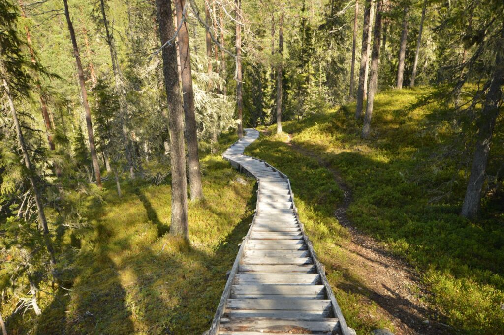 Lahti, Finlandia: la ciudad que enmarca el silencio entre colinas y un antiguo lago