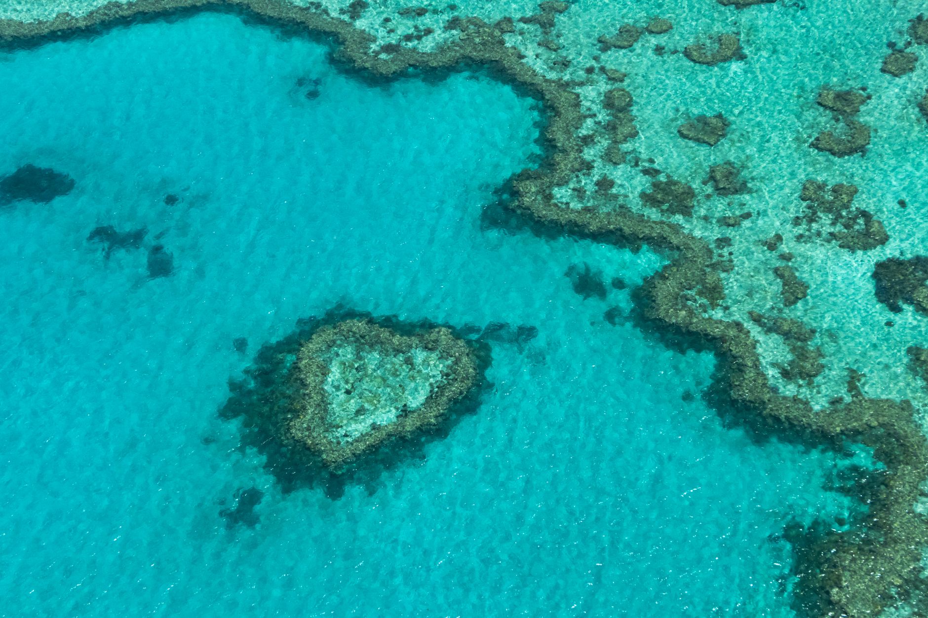 Dos mil kilómetros de arrecife: cómo visitar la Gran Barrera de Coral sin dañarla