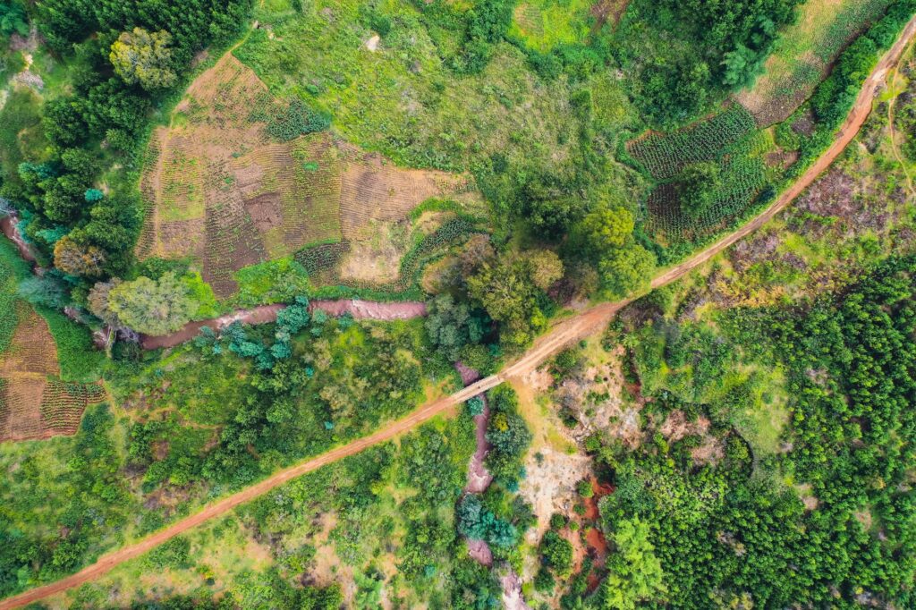 Mbeya, Tanzania: la altitud y los valles del sur donde confluyen rutas comerciales y tierras volcánicas
